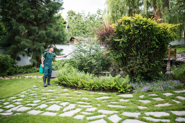 Best Pest Prevention Services  in Stillwater, MN