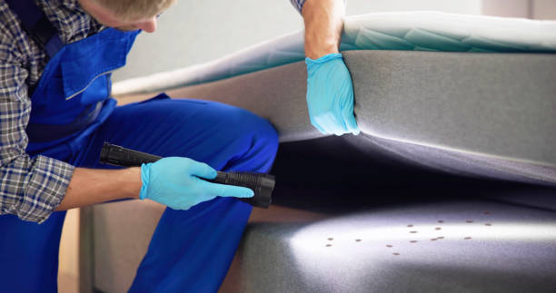 Best Wasp Removal Services  in Stillwater, MN
